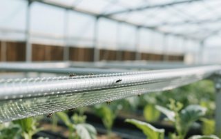 Stainless Steel Mesh for Greenhouse Pest Control A Durable and Eco-Friendly Solution